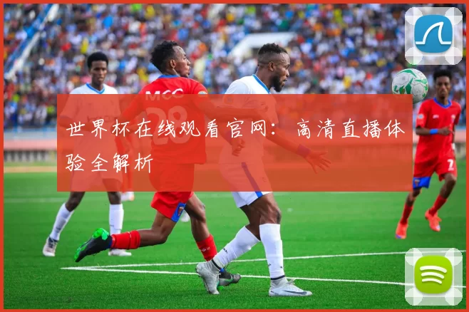 世界杯在线观看官网：高清直播体验全解析