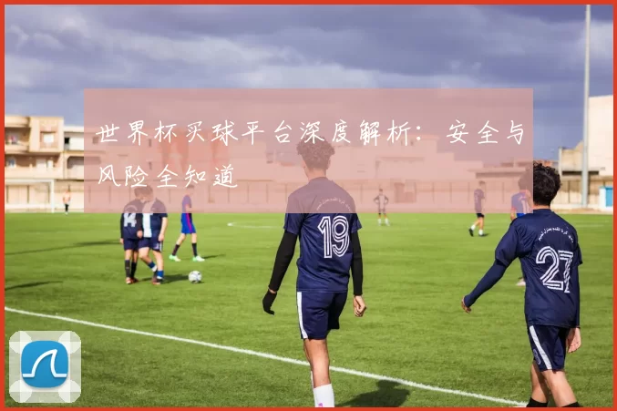 世界杯买球平台深度解析：安全与风险全知道