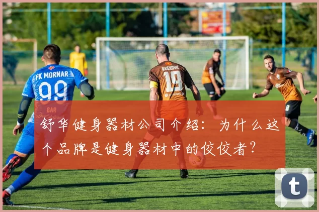 舒华健身器材公司介绍：为什么这个品牌是健身器材中的佼佼者？