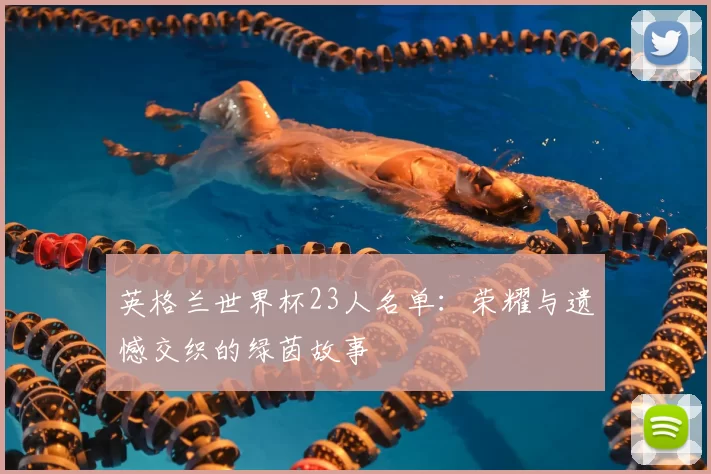 英格兰世界杯23人名单：荣耀与遗憾交织的绿茵故事