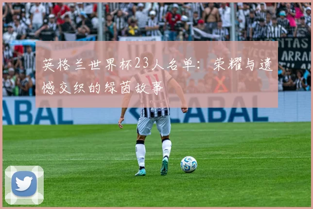 英格兰世界杯23人名单:荣耀与遗憾交织的绿茵故事