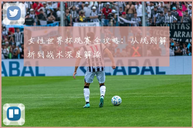 女性世界杯观赛全攻略：从规则解析到战术深度解读