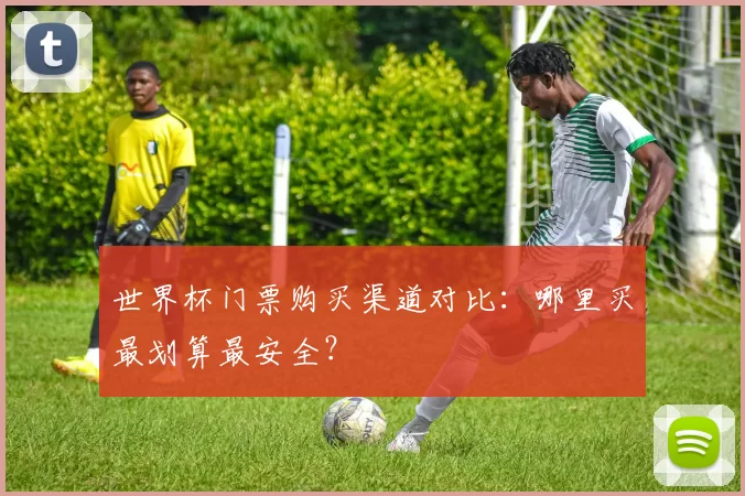 世界杯门票购买渠道对比：哪里买最划算最安全？