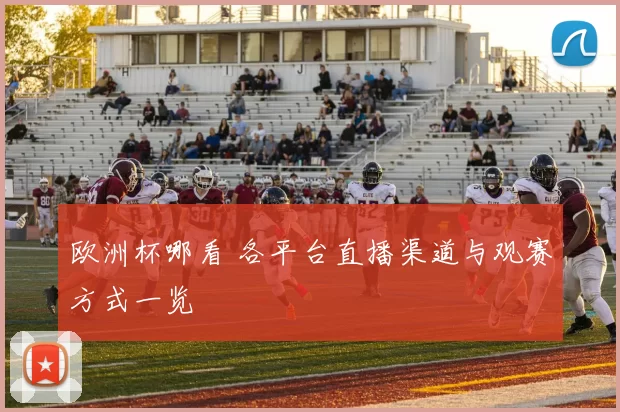 欧洲杯哪看 各平台直播渠道与观赛方式一览