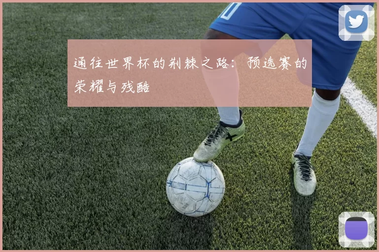 通往世界杯的荆棘之路：预选赛的荣耀与残酷
