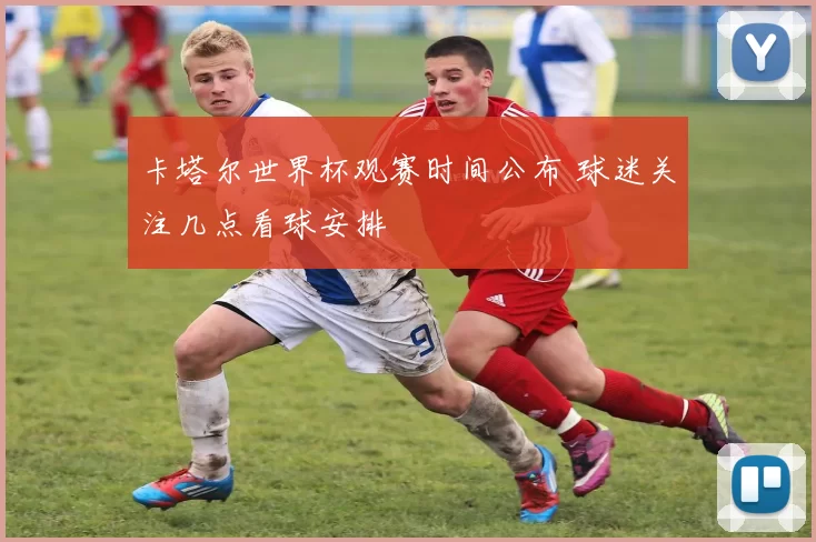 卡塔尔世界杯观赛时间公布 球迷关注几点看球安排