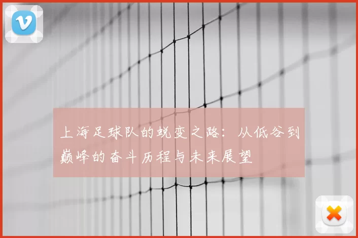 上海足球队的蜕变之路：从低谷到巅峰的奋斗历程与未来展望