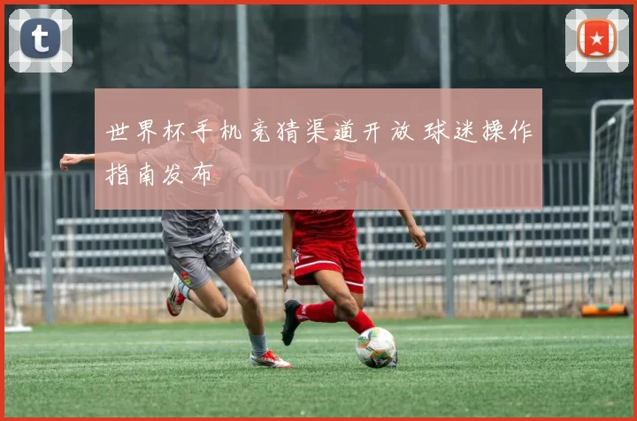 世界杯手机竞猜渠道开放 球迷操作指南发布