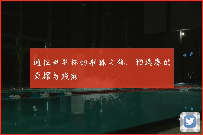 通往世界杯的荆棘之路：预选赛的荣耀与残酷