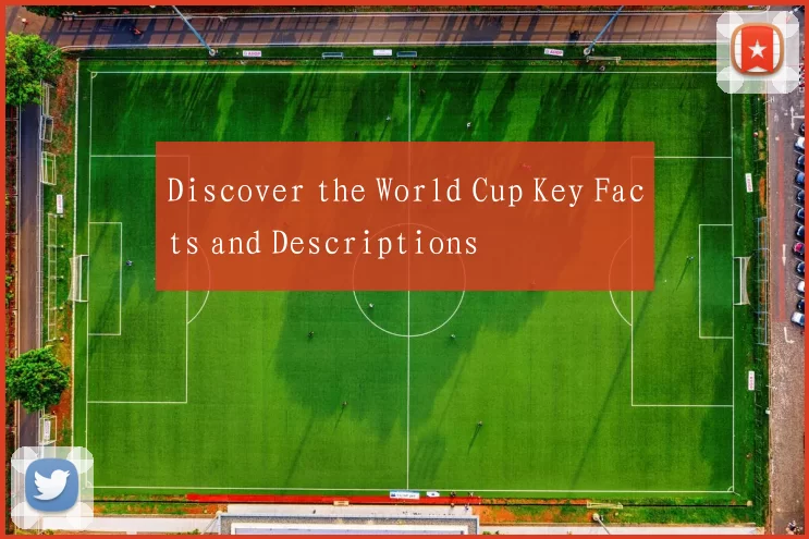 Discover the World Cup Key Facts and Descriptions