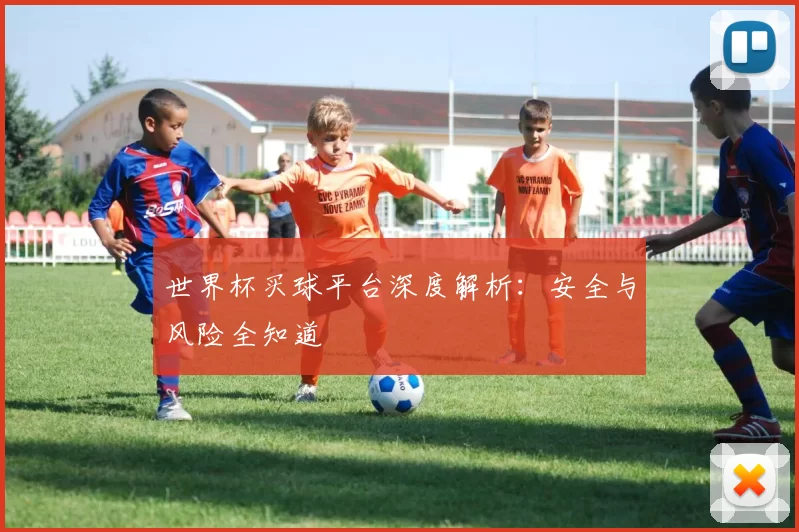 世界杯买球平台深度解析：安全与风险全知道
