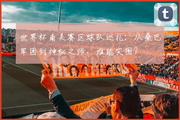 世界杯南美赛区球队巡礼：从桑巴军团到神秘之师，谁能突围？