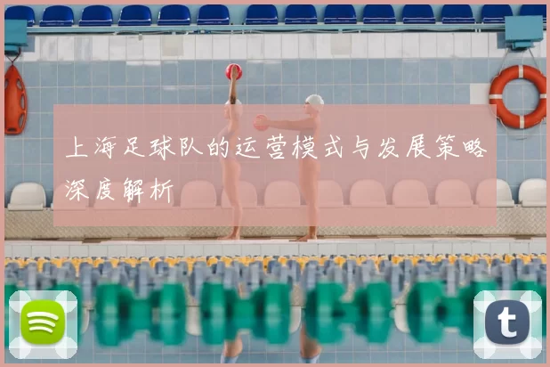 上海足球队的运营模式与发展策略深度解析