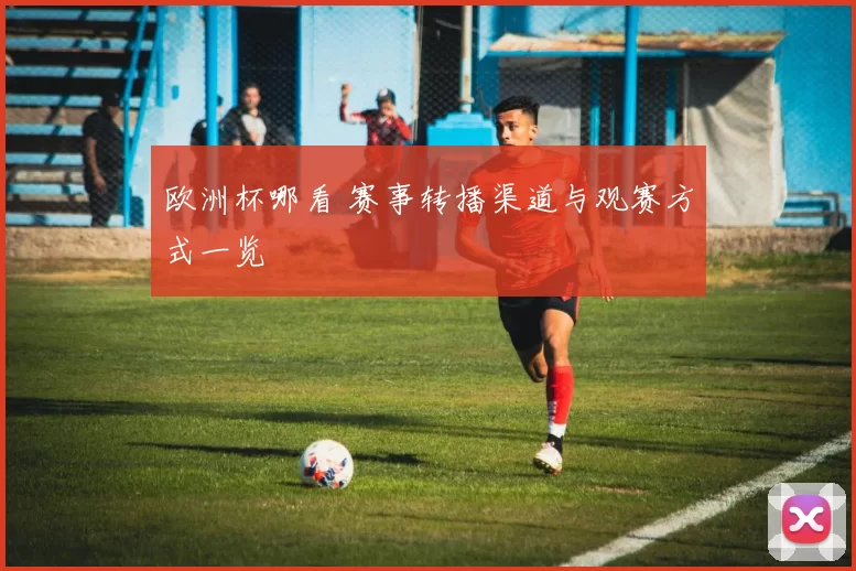 欧洲杯哪看 赛事转播渠道与观赛方式一览