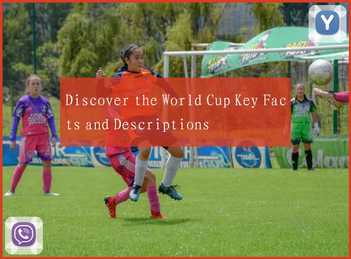 Discover the World Cup Key Facts and Descriptions